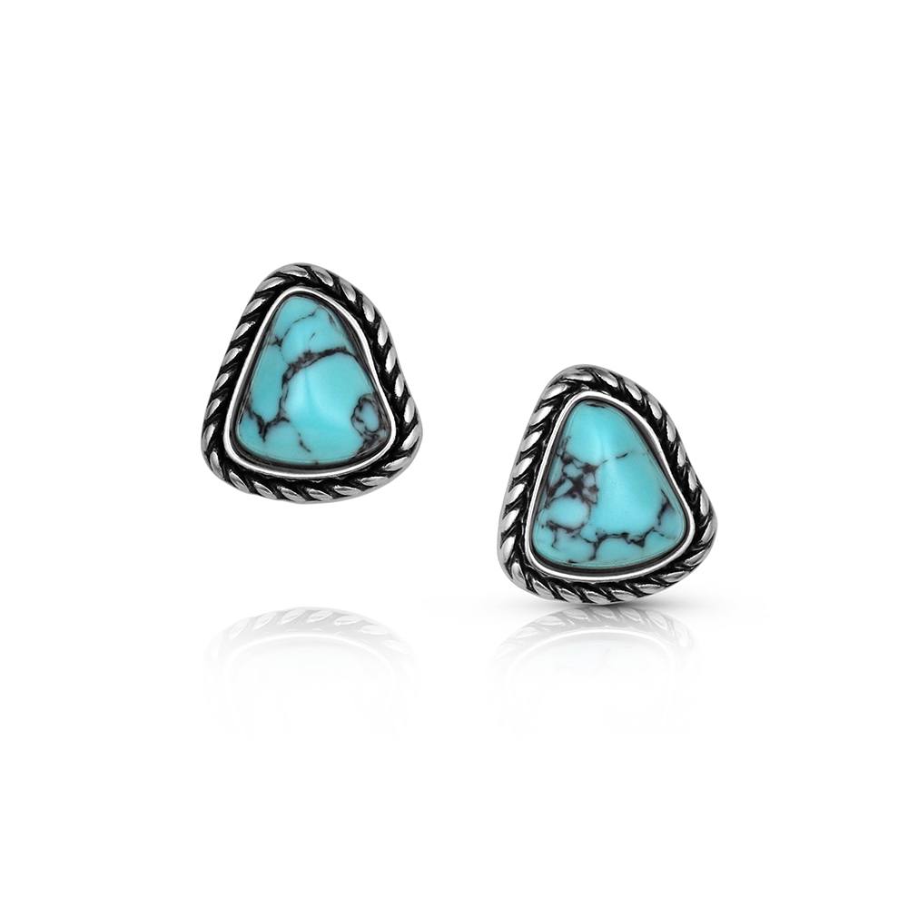 Dakota Skies Post Earrings