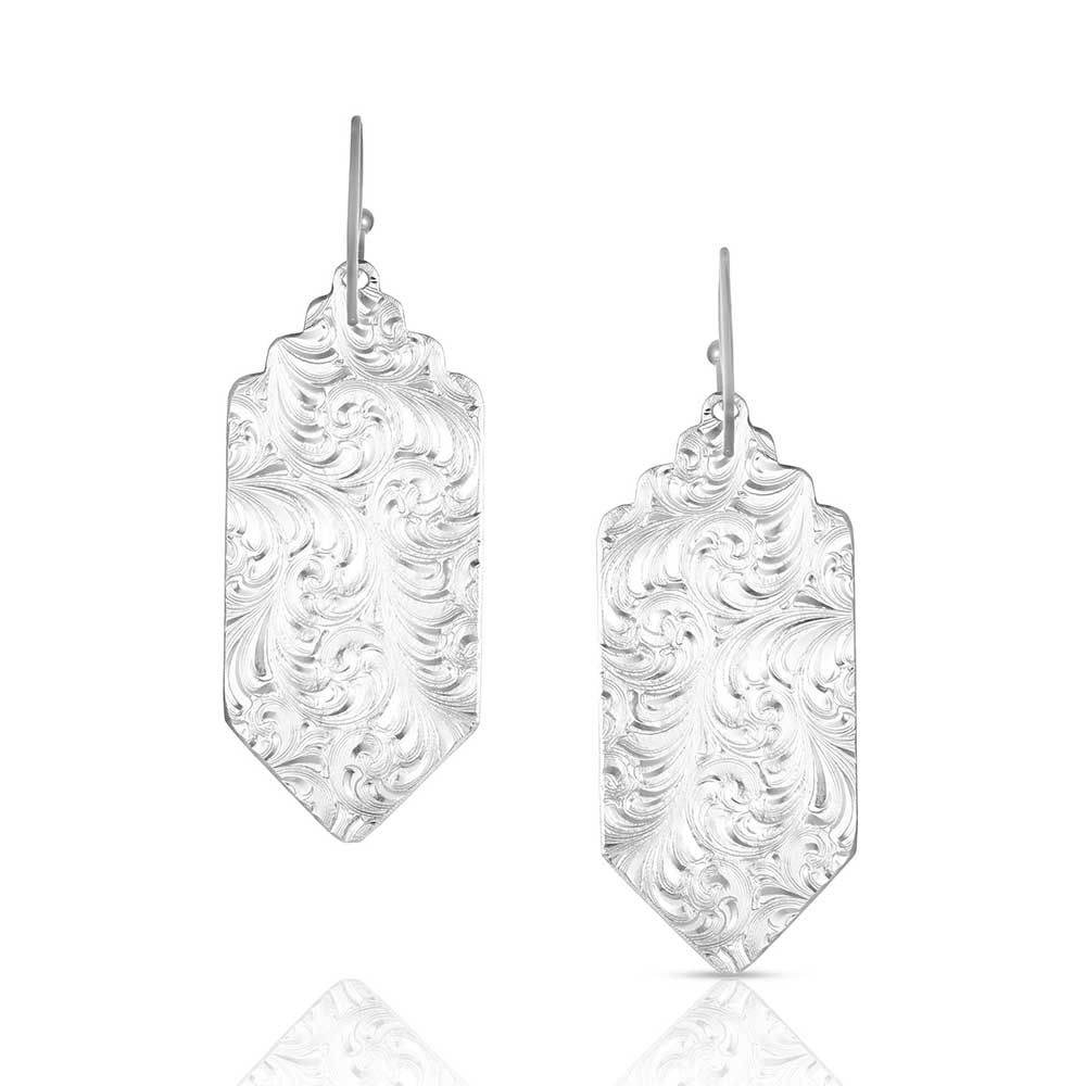 Southwestern Resilience American Made Earrings