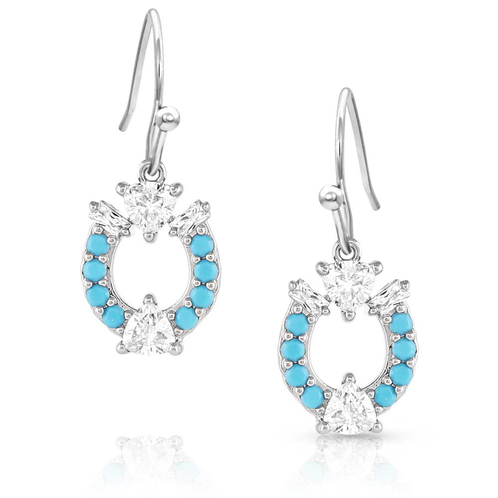 Luck Defined Crystal Turquoise Earrings