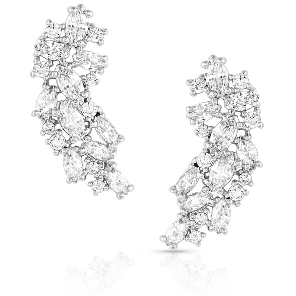 Shimmering Display Crystal Earrings