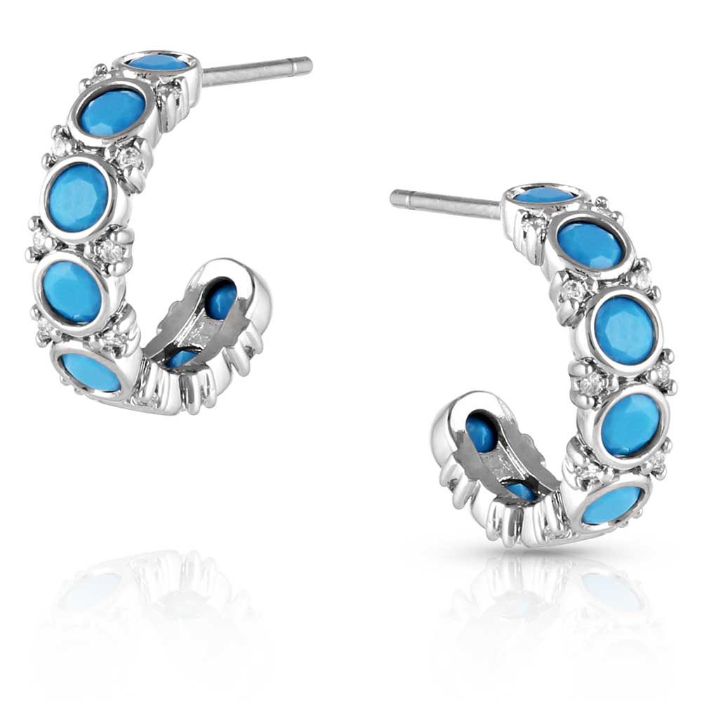 Blue Moon Crystal Earrings