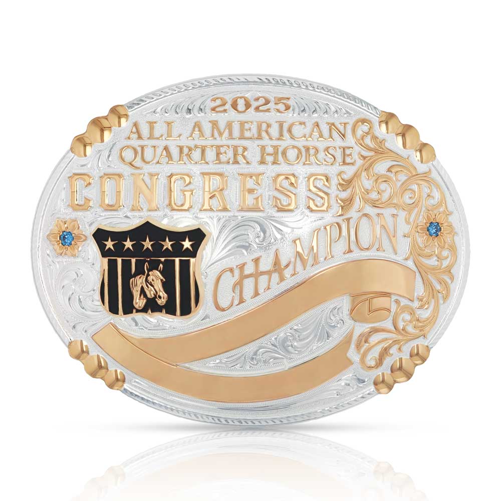 ＡＯＲ Ｓｅｌｅｃｔｅｄ　５００　ｔｉｔｌｅｓ　ｏｆ　ａｌ 4200-24-gold-relief-front-only