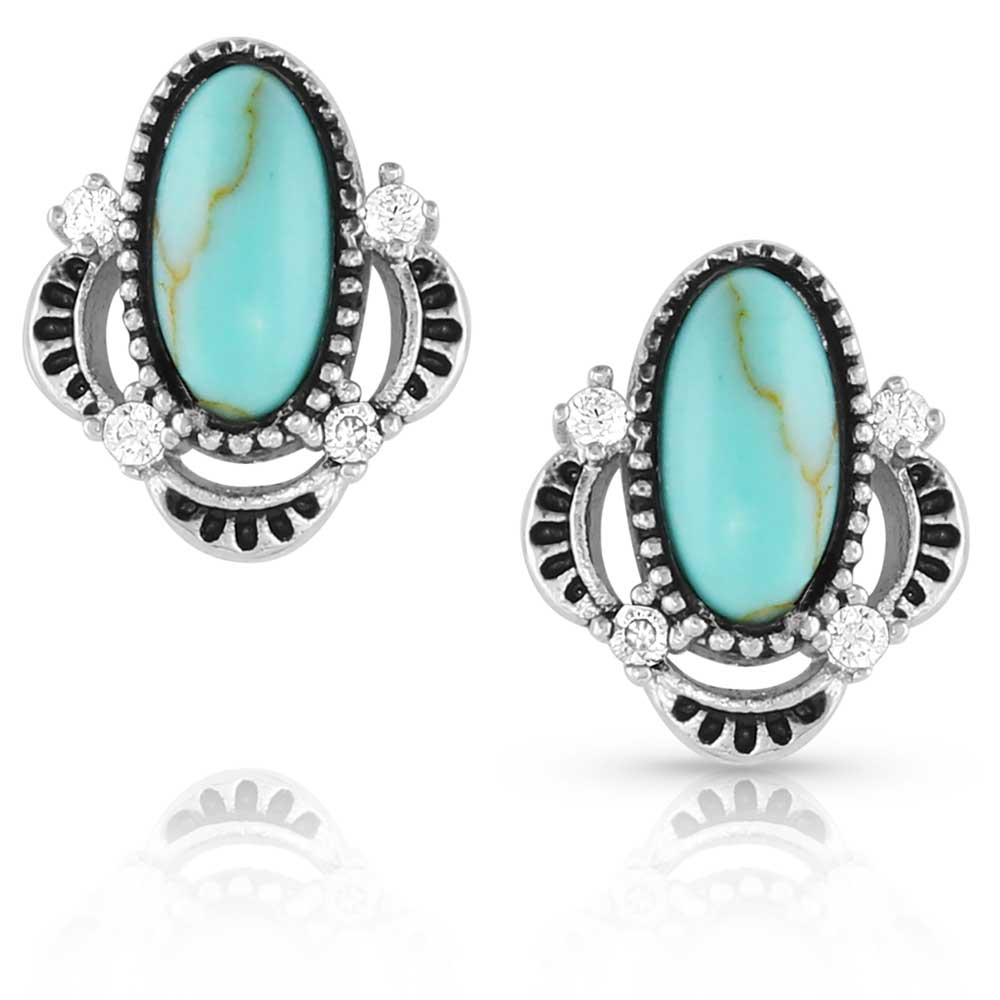 Turquoise Treasure Post Earrings