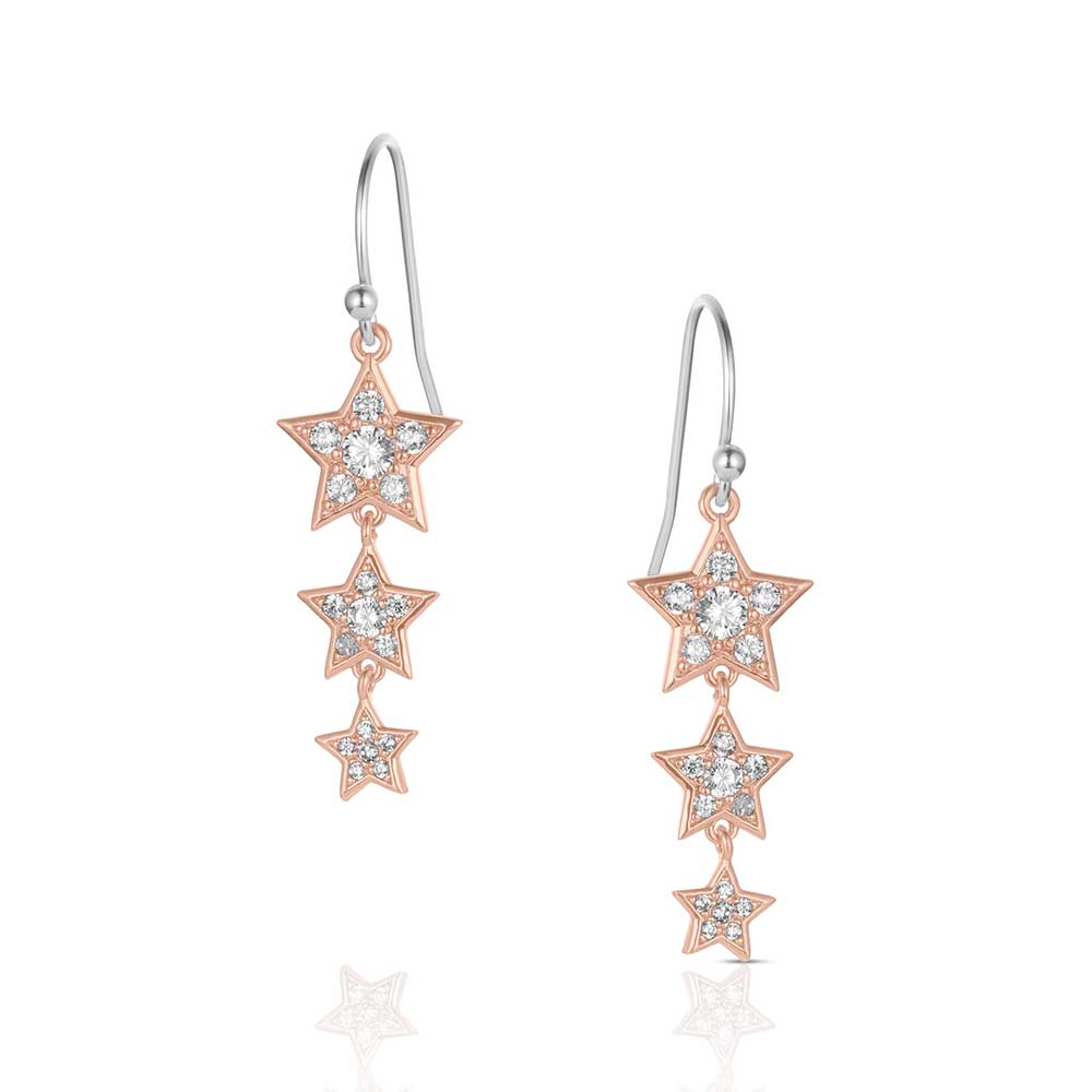 Signature Earrings | Montana Silversmiths Earrings | Montana