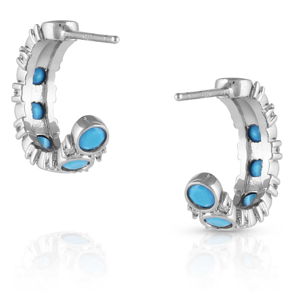Blue Moon Crystal Earrings