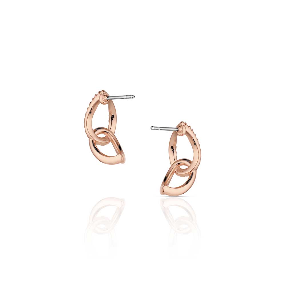Rose of the Rockies Earrings