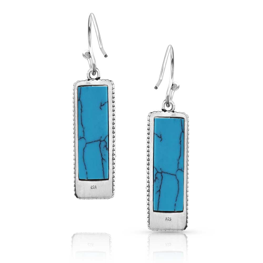 Hunter's Horizon Turquoise Earrings