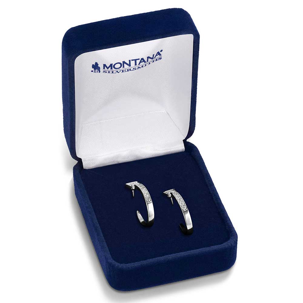 Horseshoe Nail Hoop Earrings