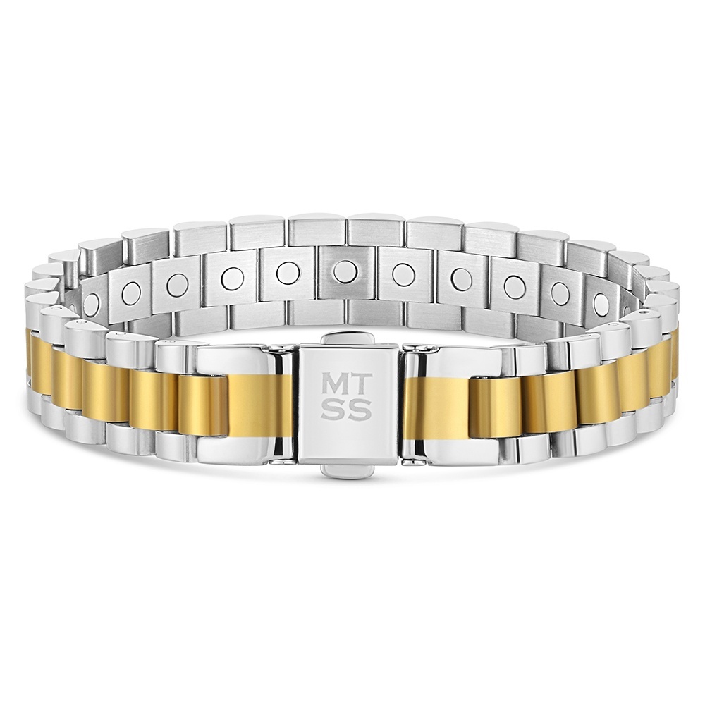 Twin Steel Link Bracelet