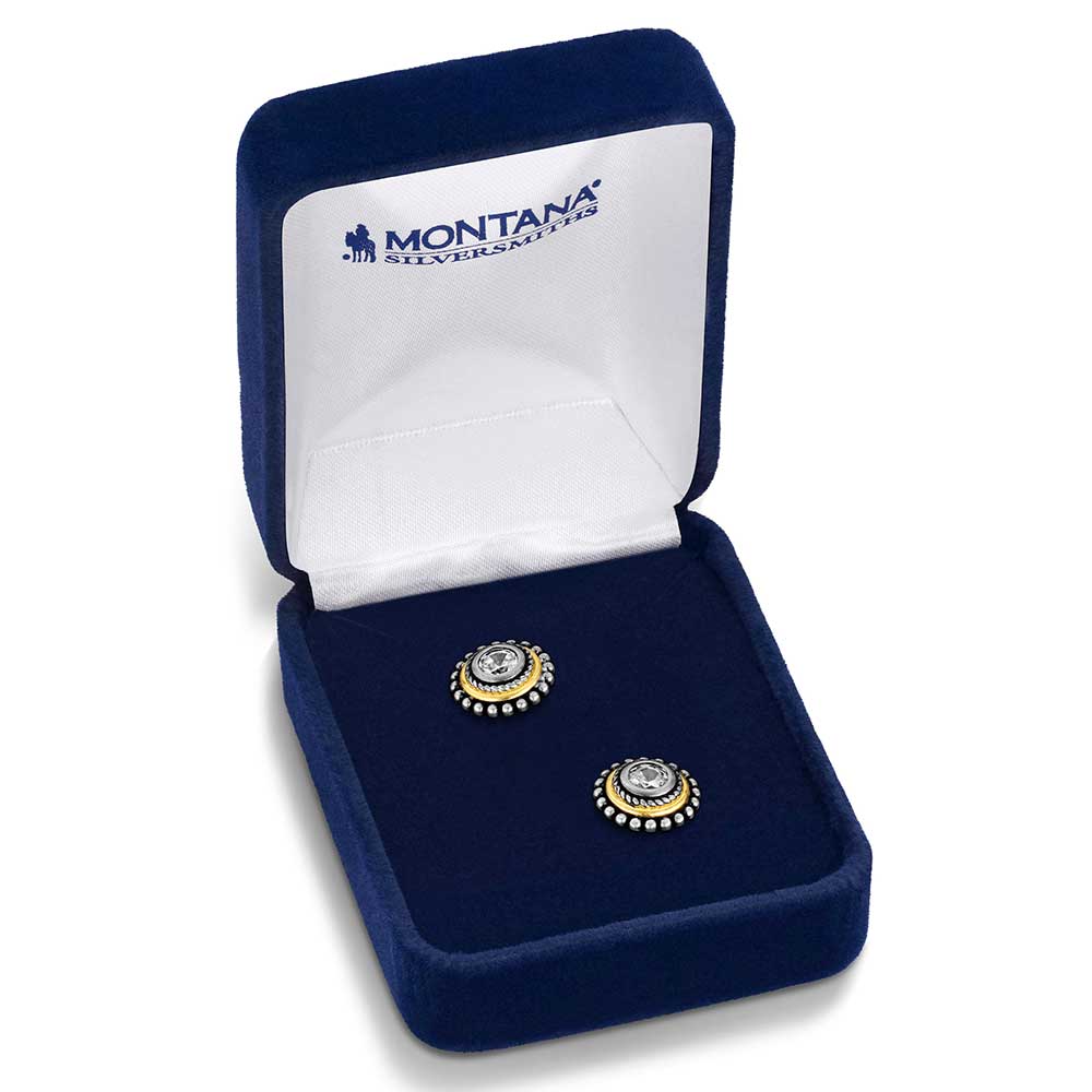 Sharpshooter Post Earrings