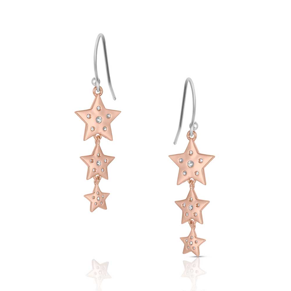 Signature Earrings | Montana Silversmiths Earrings | Montana