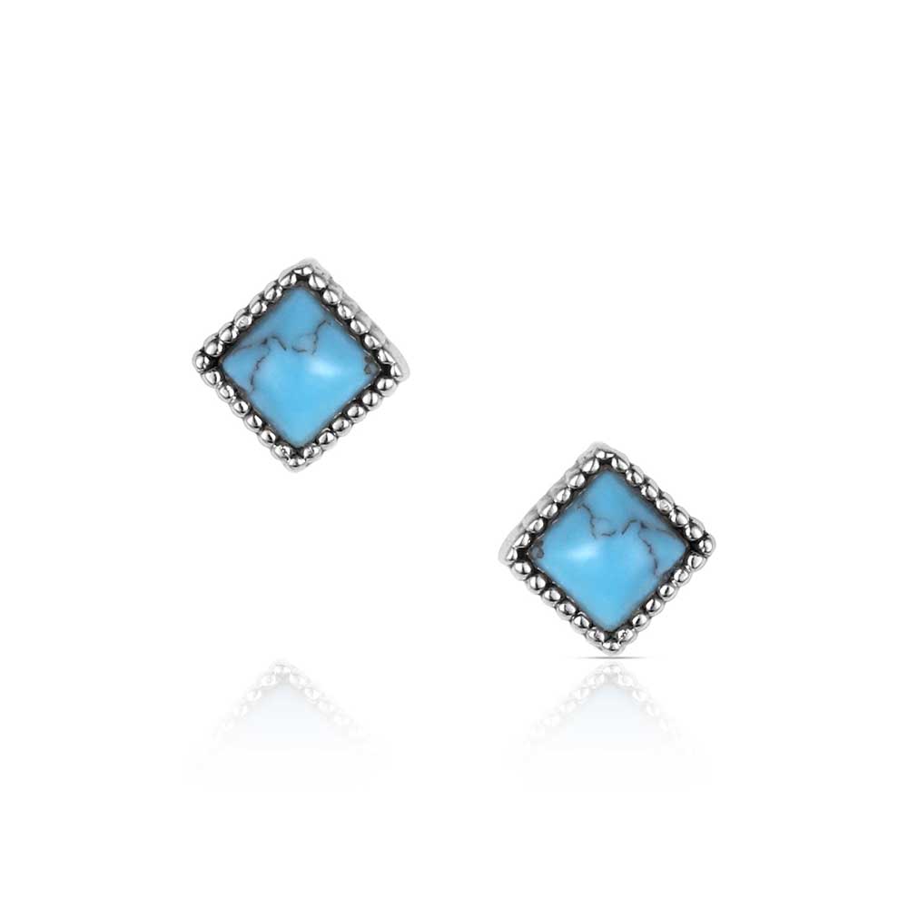 Desert Turquoise Earrings