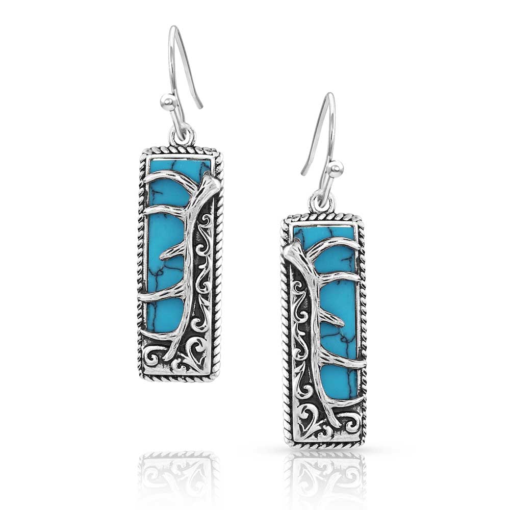 Hunter's Horizon Turquoise Earrings