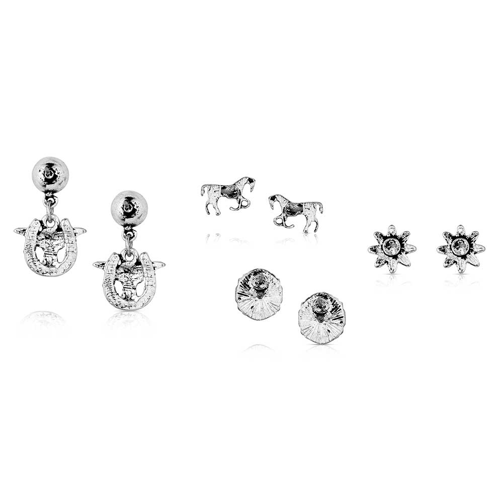 Everyday Western Post Earring Set